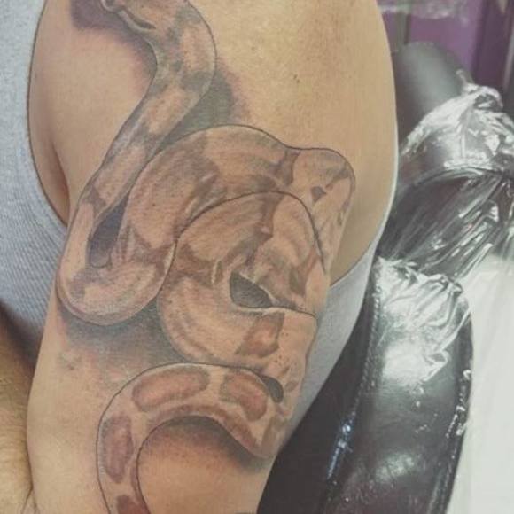 Meet your Posher, Thomas - Picture 1 of 1